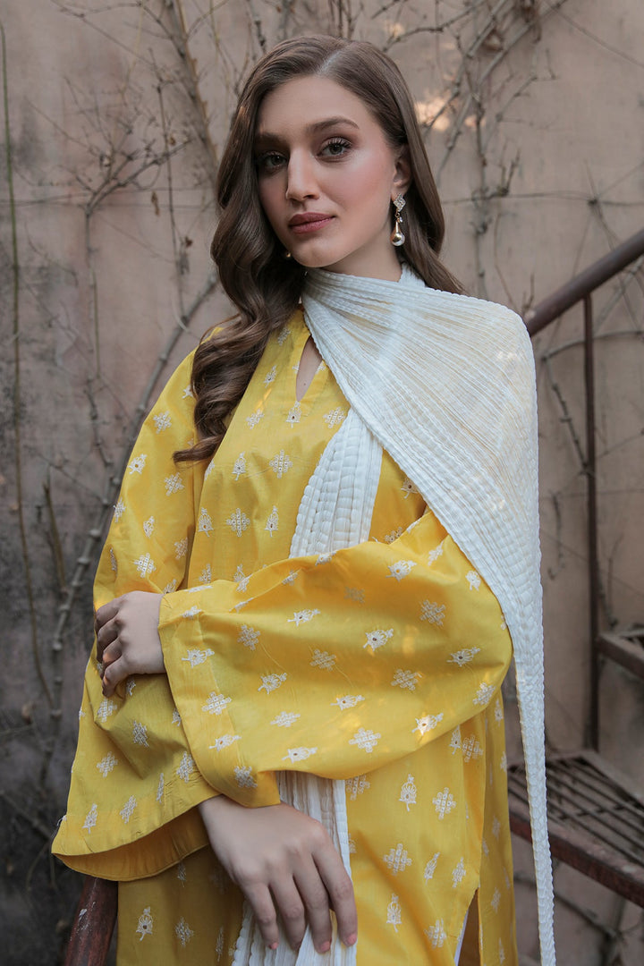 CHIFFON CRUSH DUPATTA-55