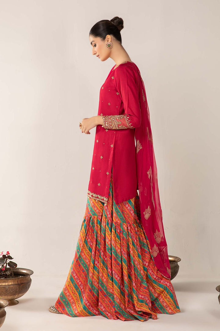 3 PIECE EMBROIDERED LAWN SUIT | DW-EF24-119