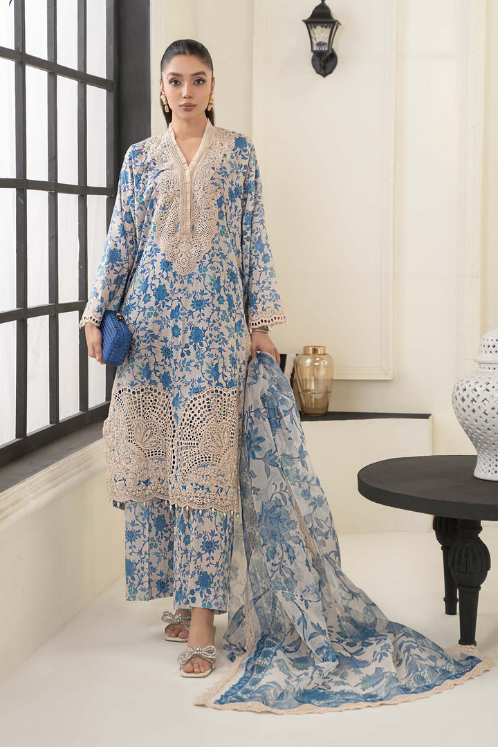 3 PIECE EMBROIDERED LAWN SUIT | DW-EF24-108