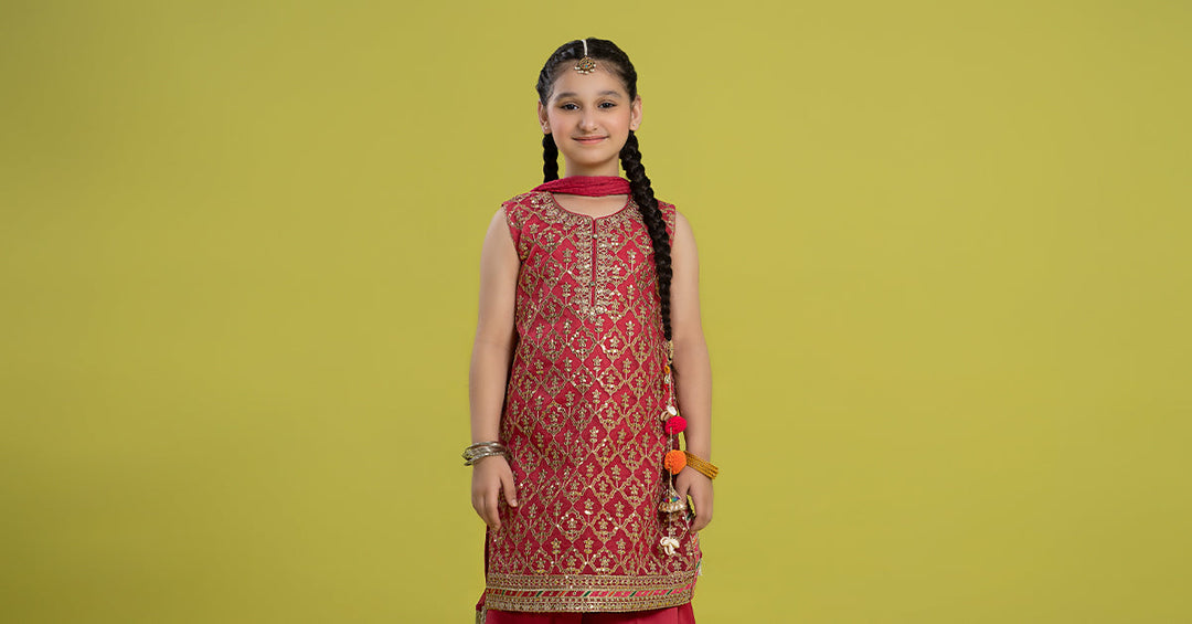 3 PIECE EMBROIDERED ORGANZA SUIT | MKS-EF24-14