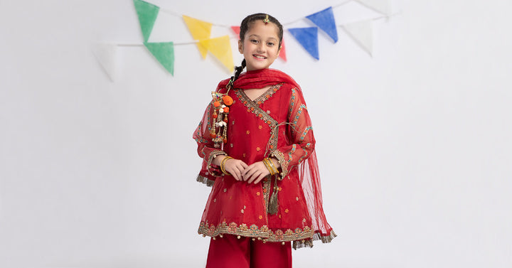 3 PIECE EMBROIDERED ORGANZA SUIT | MKS-EF24-24